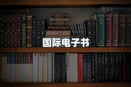 国际电子书